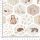Pretty Fabrics Fall Moments Cotton Loopback French Terry Fabrics Textile Wholesale 300g/m2